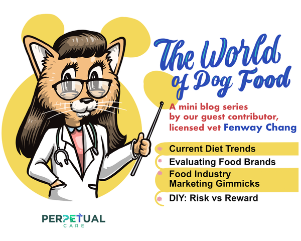 Current Diet Trends