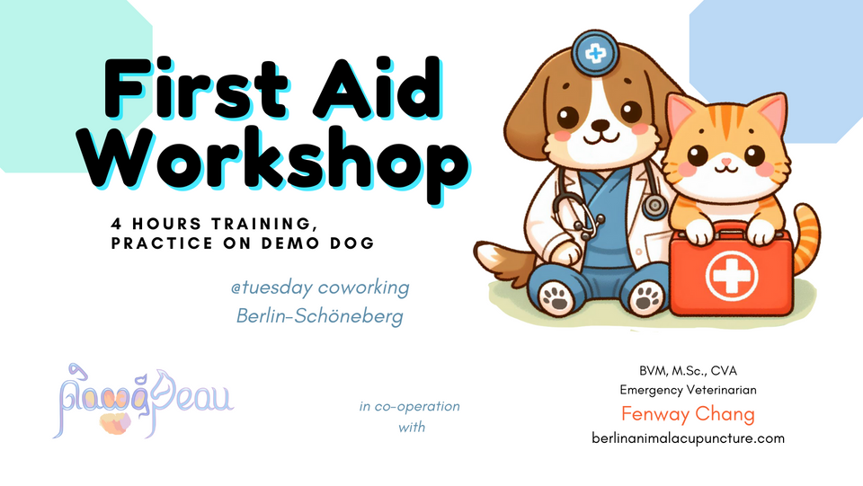 First Aid Training for Dogs & Cats!